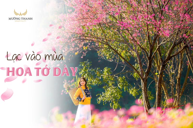 hoa-to-day